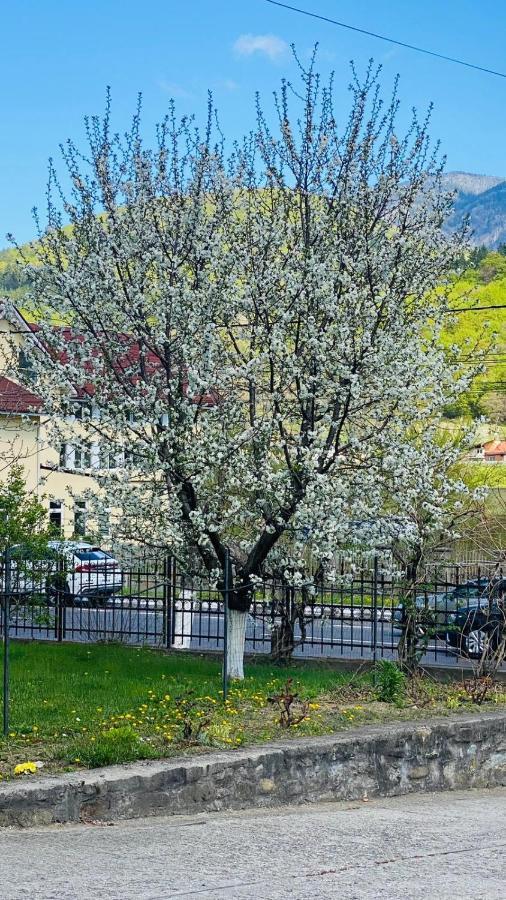 Hotel Vila Themis Călimăneşti Exteriér fotografie