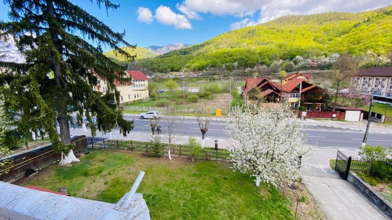 Hotel Vila Themis Călimăneşti Exteriér fotografie