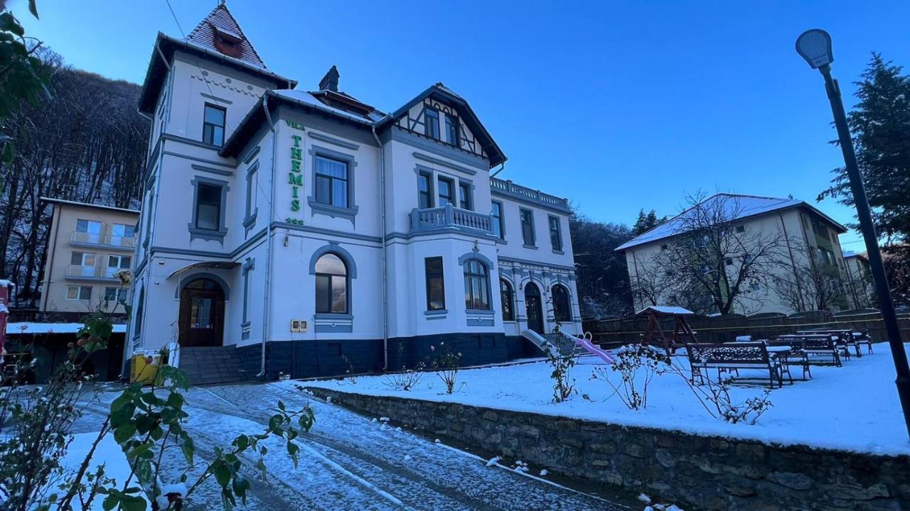 Hotel Vila Themis Călimăneşti Exteriér fotografie