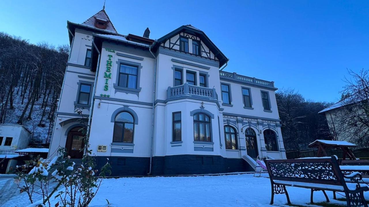 Hotel Vila Themis Călimăneşti Exteriér fotografie