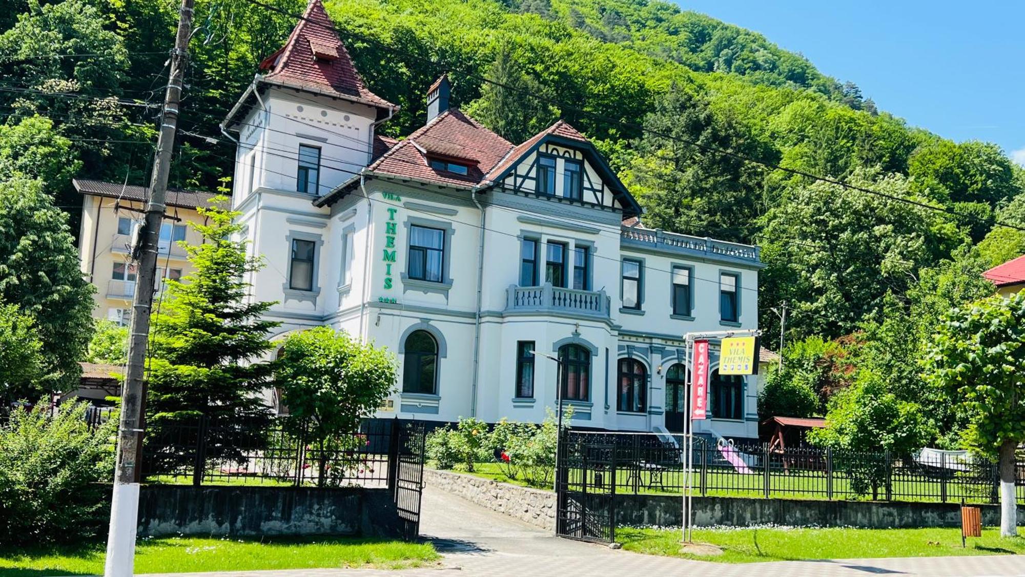 Hotel Vila Themis Călimăneşti Exteriér fotografie